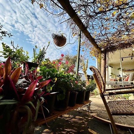 בקתות האס ואטינגר Villa Geva Carmel Kültér fotó