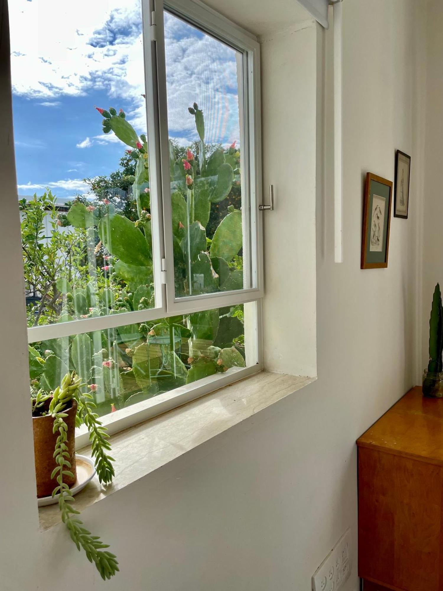 בקתות האס ואטינגר Villa Geva Carmel Kültér fotó